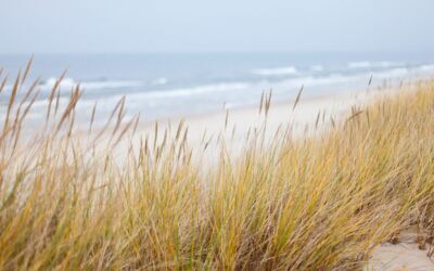 Urlaub Ostsee