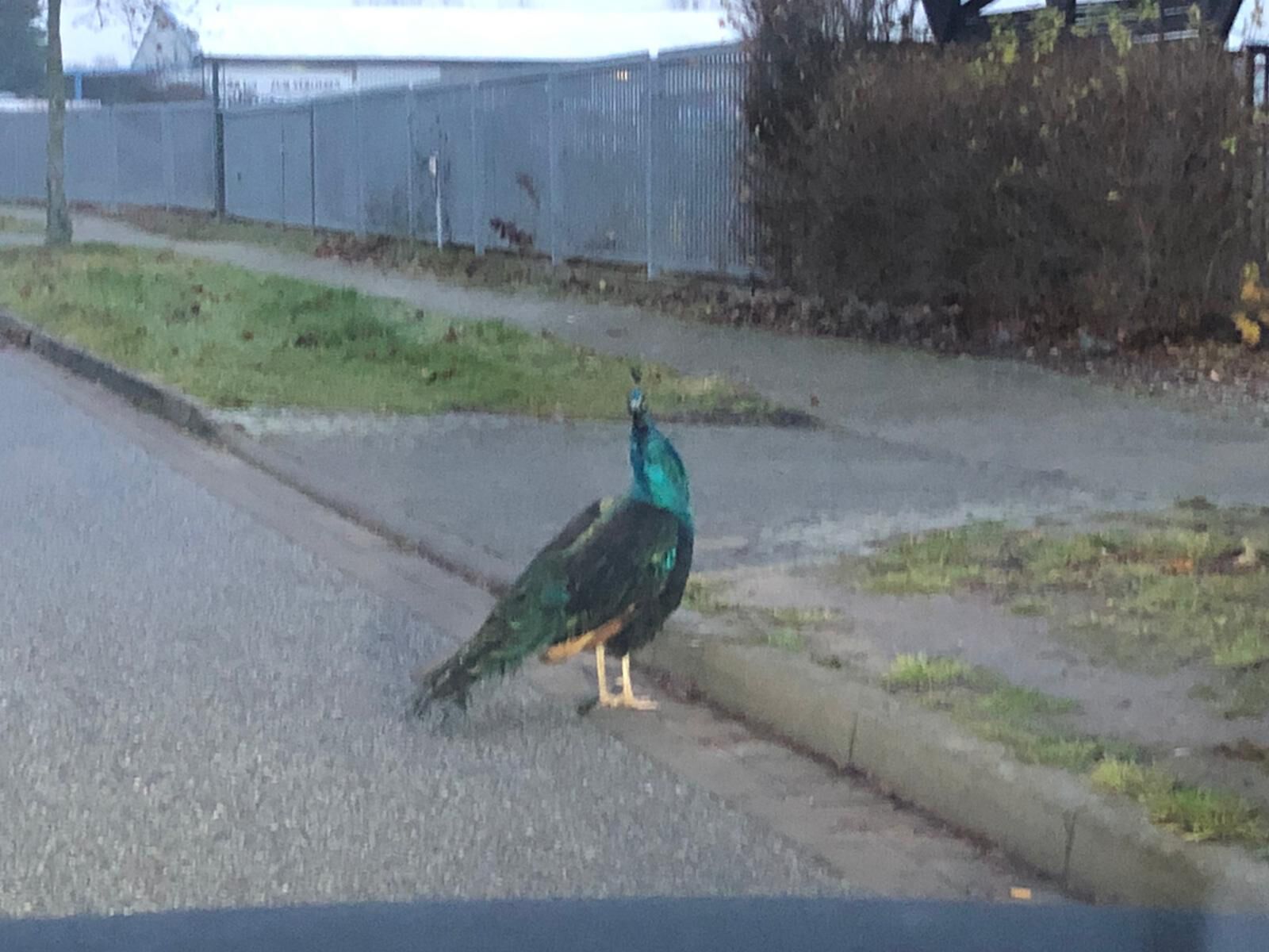 Waren (Müritz) Ortsteil Warenshof