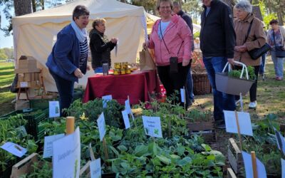 Veranstaltugn Agroneum