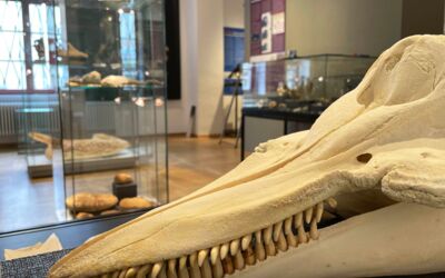 Kindertagesstätte Waren (Müritz)