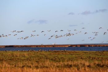 Urlaub Mecklenburg-Vorpommern
