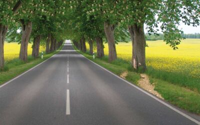 Landesverkehrswacht, Verkehrsministerium und Polizei besetzen die Landstraßenkampagne „Schön gefährlich!“ mit neuen Themen