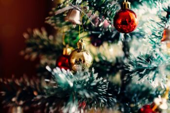 Verkauf Weihnachtsbäume