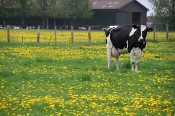 Landwirtschaftminister tagen in Göhren-Lebbin