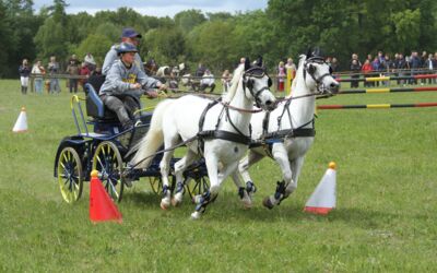 Speckreiten Röbel / Müritz