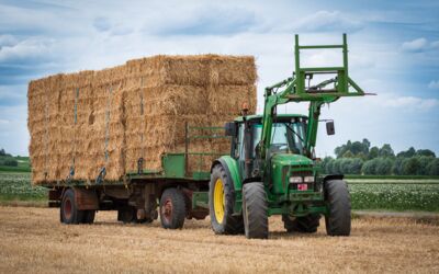 Bundesfinanzminister Christian Lindner