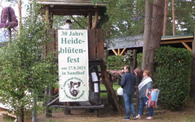 Heidekönigin Heidi Ganske