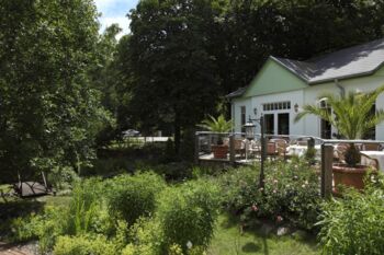 Gut Essen gehen in Waren (Müritz)