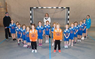 Glühwein selber machen