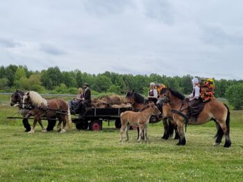 Veranstaltung Alt Schwerin
