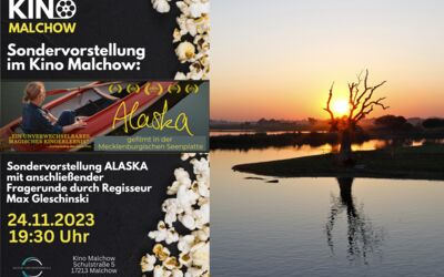 Kino Malchow Filme