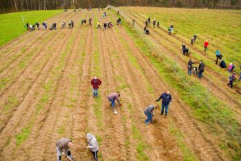 Malchower Klimawald Bäume gepflanzt