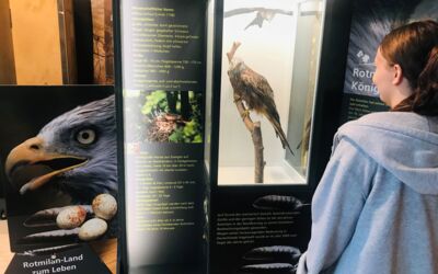 Veranstaltungen Bärenwald Müritz