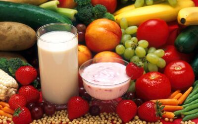 Schülerwettbewerb "Echt kuh-l!"