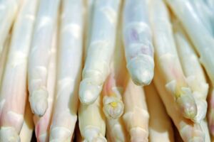 Hof Denissen in Wöbbelin Spargel