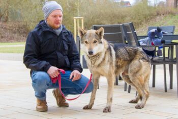 Thomas Frost Wolfsführung