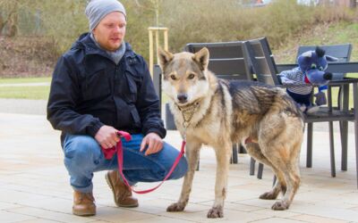 Thomas Frost Wolfsführung