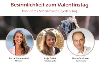 Petra Sommerfeld, Mentorin | Anja Puder, Naturfotografie | Mario Schlosser, Klaviermusik