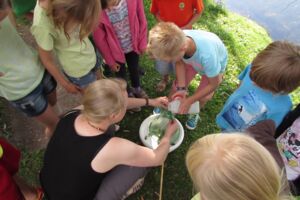 Freiwilliges Ökologisches Jahr im Müritzeum