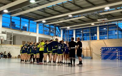 Handball in Waren (Müritz)