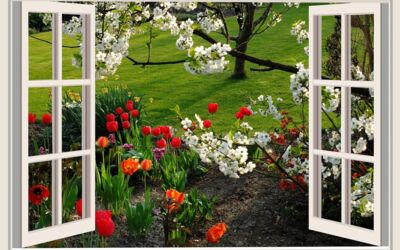 Anträger Landesförderinstitut M-V