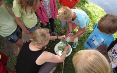Ferienfreizeit Waren (Müritz)