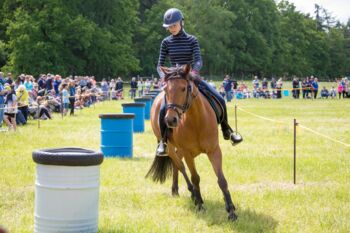 Veranstaltung Ponysportverein Röbel/Müritz