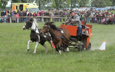 Ponysportverein Röbel/Müritz e.V.