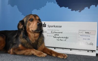 Polizeipräsidium Neubrandenburg