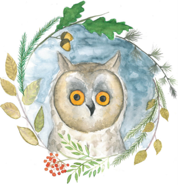 Veranstaltung Warener Müritzeum