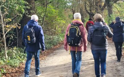 Wanderungen durch Malchow