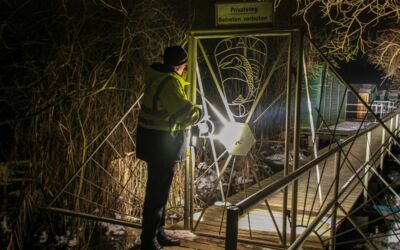 Bootsdiebstahl Mecklenburgische Seenplatte