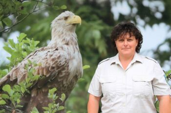 Veranstaltungen Müritz-Nationalpark