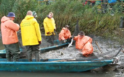 Abfischfest Müritzfischer Boek