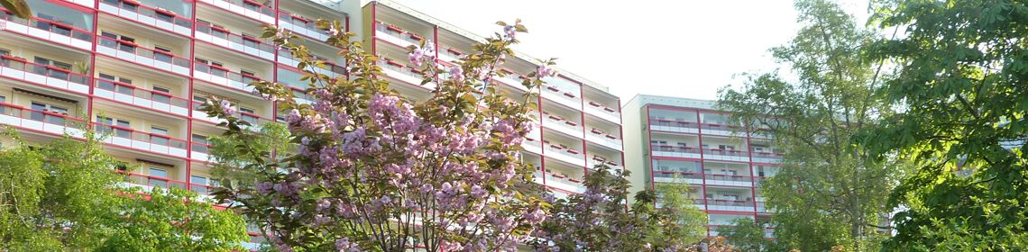 WWG Waren Müritz