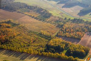 Klimawald Malchow