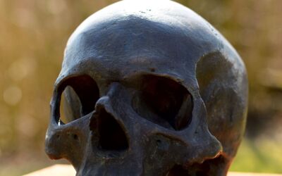 Landesamt für Bodendenkmalpflege MV