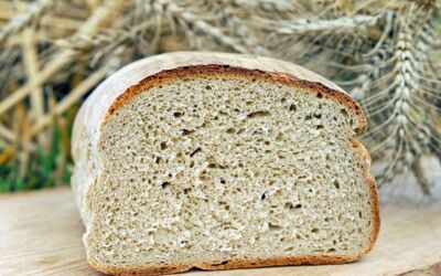 Ausbildung als Bäcker