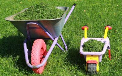 Rasenpflege zum Frühlingsstart