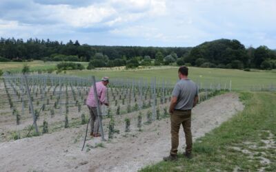 Weinanbaugebiet Champagne Göhren-Lebbin