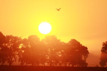 Urlaub in Mecklenburg-Vorpommern