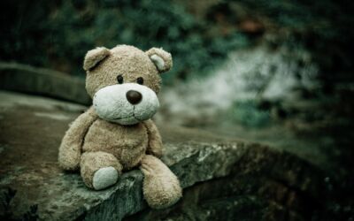 sonderpädagogischen, psychiatrischen und Behinderteneinrichtungen in den DDR-Nordbezirken