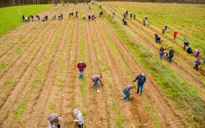 Malchower Klimawald Bäume gepflanzt