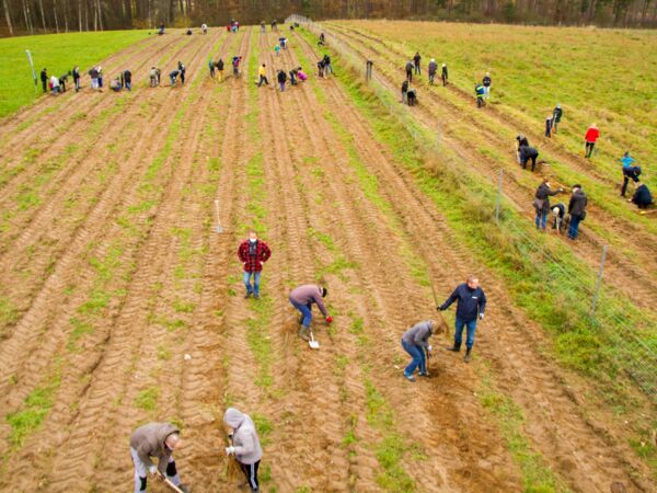 Malchower Klimawald Bäume gepflanzt
