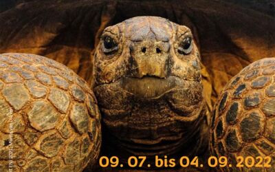 Veranstaltungen in Bollewick