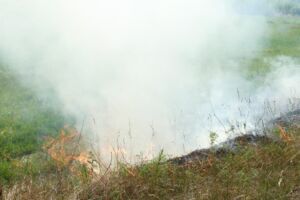 Böschungsbrand N192 bei Ave