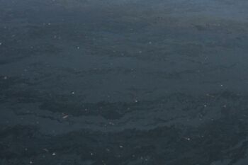 Ölteppich im Stadthafen Waren Müritz