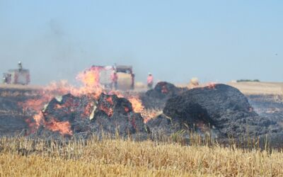 Erntebrände bei Silz