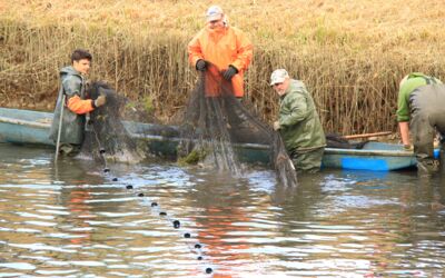 Müritzfischer Fischteiche Rechlin Veranstaltung