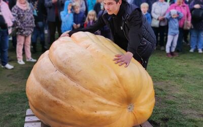 Kürbisfest Agroneum Alt Schwerin